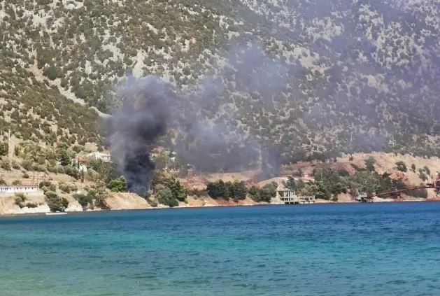 Βοιωτία: Νεκρός οδηγός φορτηγού που έπεσε σε γκρεμό – ΒΙΝΤΕΟ