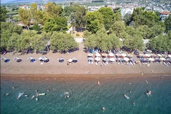 Βόλος: Έφοδος στην παραλία της Αγχιάλου για ξαπλώστρες και ομπρέλες – Μπέος: «Φολκλορική η εικόνα των ελεγκτών με τις… μεζούρες»