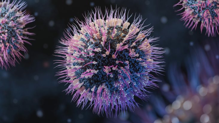 βακτηριακή λοίμωξη