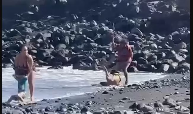 ξύλο παραλια 2