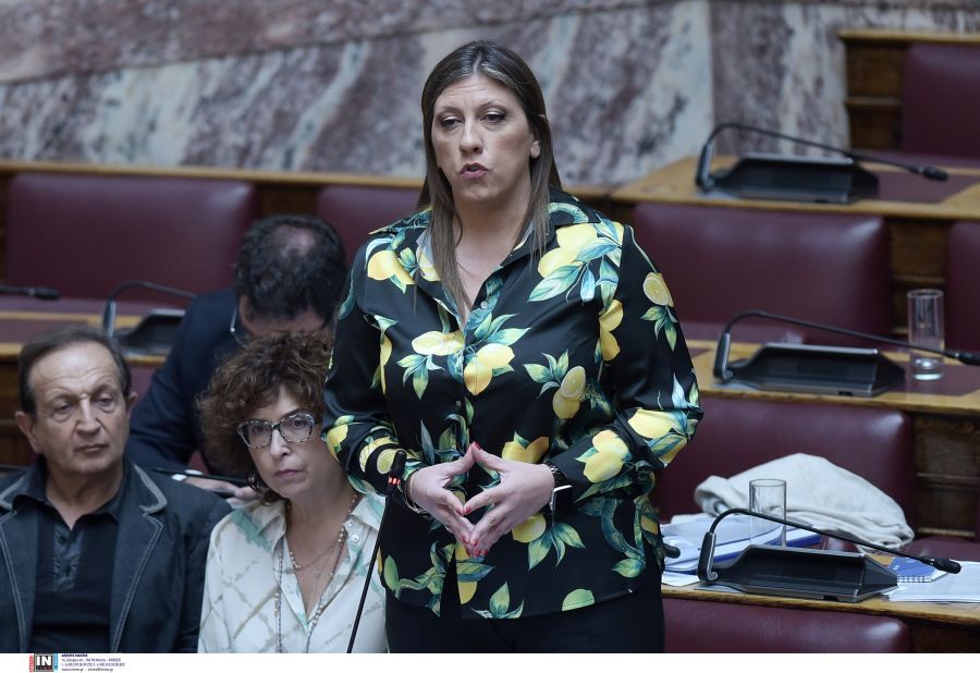 Κωνσταντοπούλου: Το νομοσχέδιο για την ψυχιατρική μεταρρύθμιση αποσαθρώνει τα προγράμματα απεξάρτησης