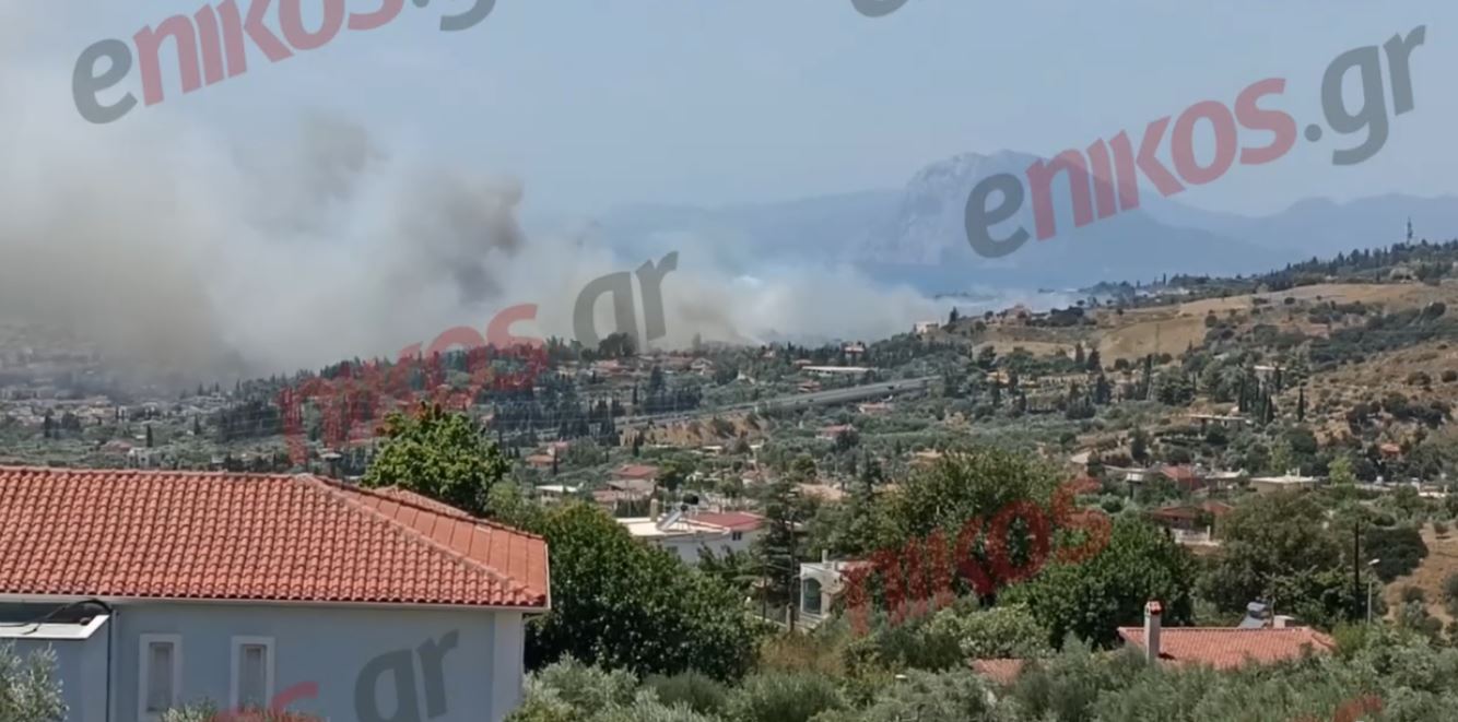 Μαίνεται η φωτιά στην Πάτρα: Κοντά σε σπίτια οι φλόγες – Δείτε βίντεο αναγνώστη