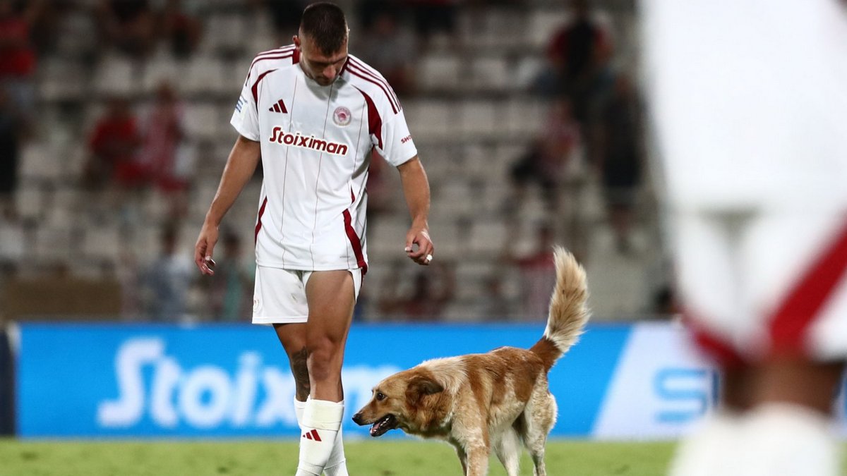 Βόλος – Ολυμπιακός: Σκύλος «εισέβαλε» στον αγωνιστικό χώρο και αποθεώθηκε – Δείτε βίντεο και φωτογραφίες