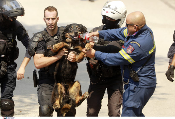 Ντράφι φωτιά Αττική