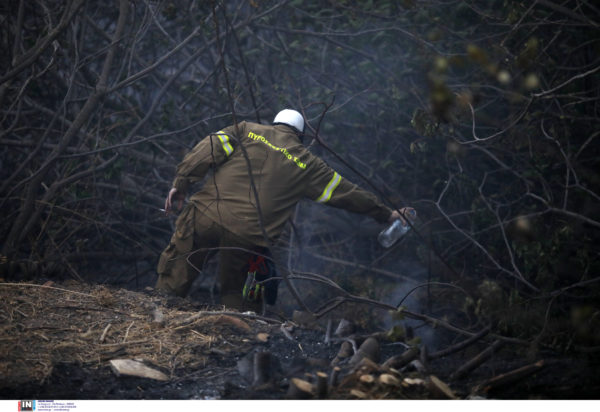 Φωτιά Νέα Πεντέλη