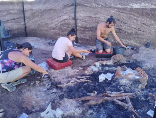 Η δημαρχία του Τοπόλοβγκραβ ανακοίνωσε ότι στην περιοχή όπου βρίσκεται ο τάφος ενός Θράκα πολεμιστή, ανακαλύφθηκαν πολύτιμα, μοναδικά αρχαιολογικά τεχνουργήματα, μεταξύ των οποίων και χρυσά κοσμήματα. Φωτογραφία: Topolovgrad Municipality /Facebook