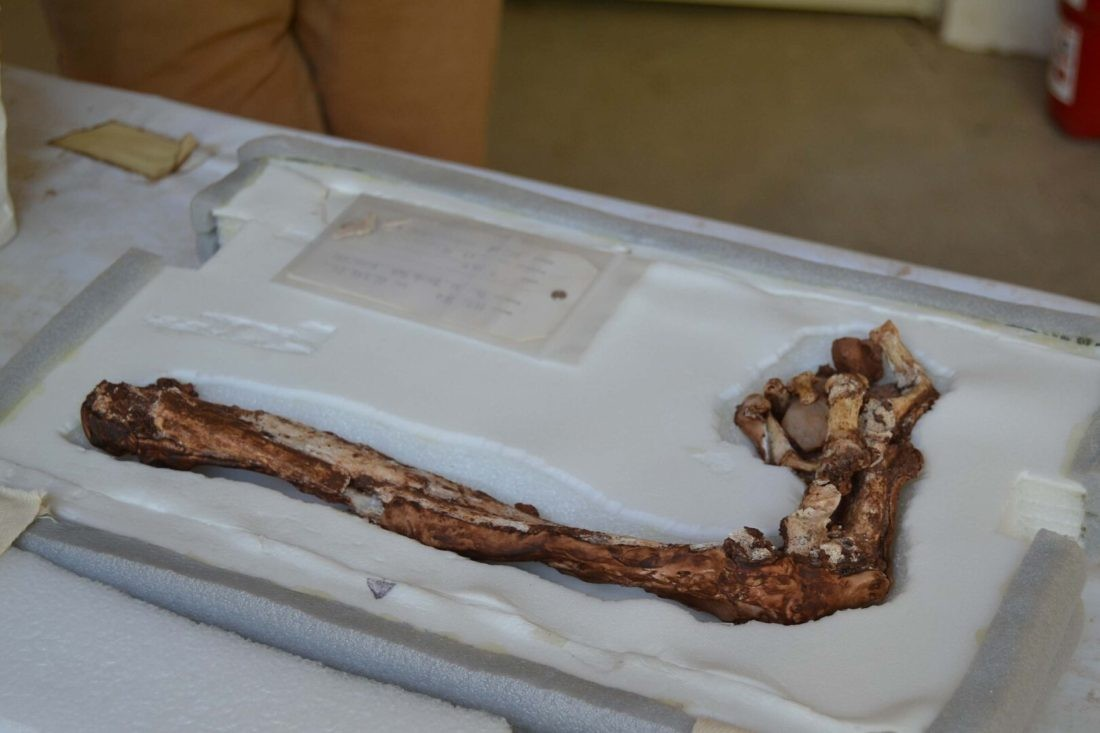 Το χέρι του ενός στρατιώτη βρέθηκε σπασμένο, προφανώς το έσπασε αμυνόμενος. Φωτογραφία: DHA