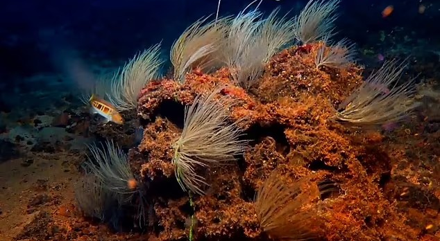 Τα υποθαλάσσια νησιά "Los Atlantes", στα ανατολικά της Λανθαρότε, μπορεί να ήταν η πηγή της έμπνευσης για τον μύθο της Ατλαντίδας, σύμφωνα με τους ειδικούς