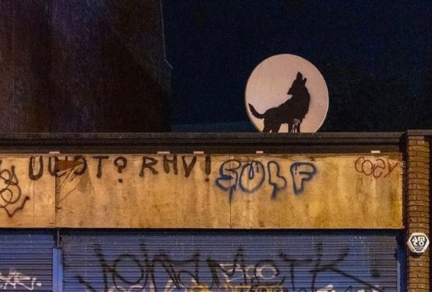 ΜΠΑΝΚΣΙ ΛΥΚΟΣ