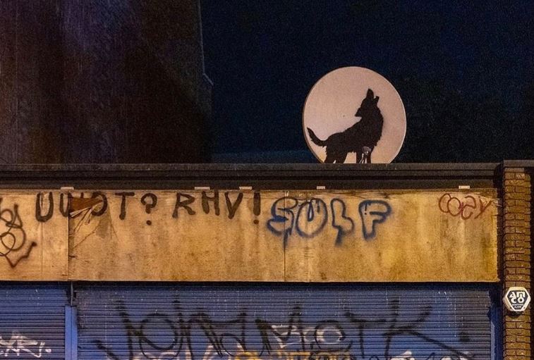 ΜΠΑΝΚΣΙ ΛΥΚΟΣ