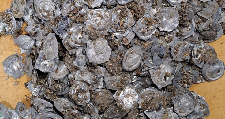 Ένας από τους μεγαλύτερους θησαυρούς από νομίσματα ανακαλύφθηκε σε υπόνομο στην γερμανική πόλη Glottertal. Φωτογραφία: Περιφερειακό Συμβούλιο Στουτγάρδης