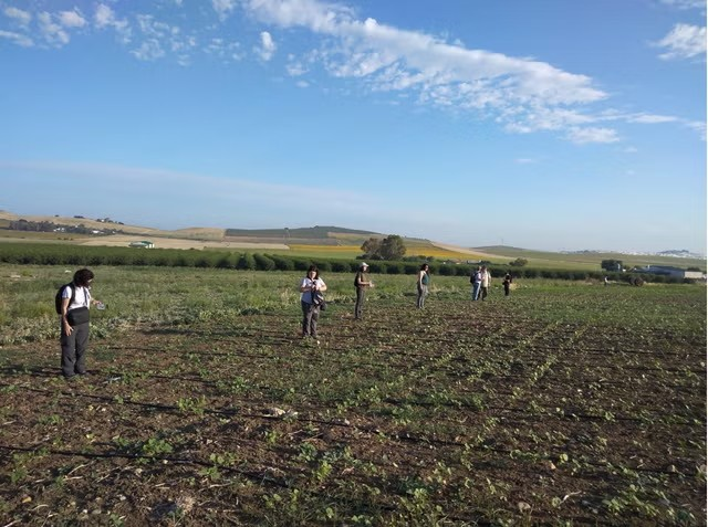Οι ανασκαφές στη ρωμαϊκή έπαυλη στο El Cañuelo στο Bornos έχουν ξεκινήσει από το 2023. Φωτογραφία: Πανεπιστήμιο Cádiz