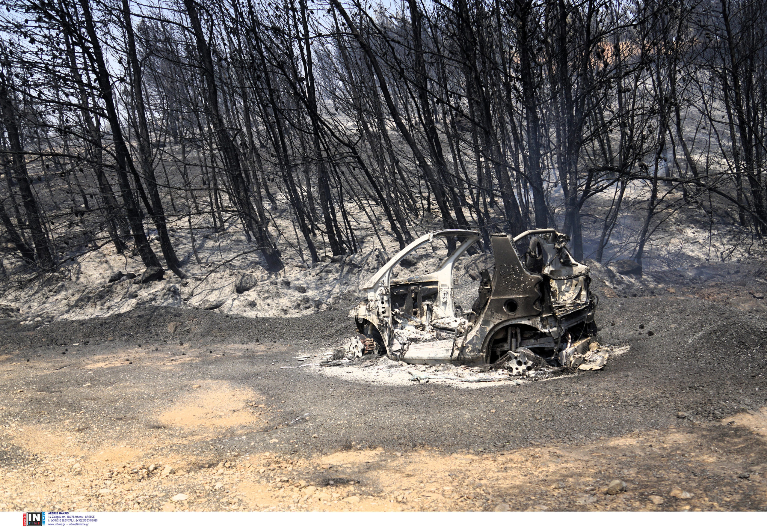 ΔΙΩΝΗ ΝΤΡΑΦΙ