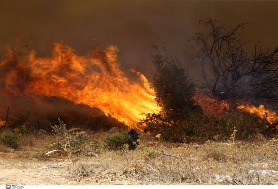 Φωτιές στην Αττική: Αναζωπύρωση στο Άνω Σούλι Μαραθώνα