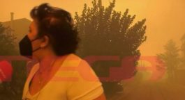 ΚΑΤΟΙΚΟΣ ΒΡΙΛΗΣΣΙΑ