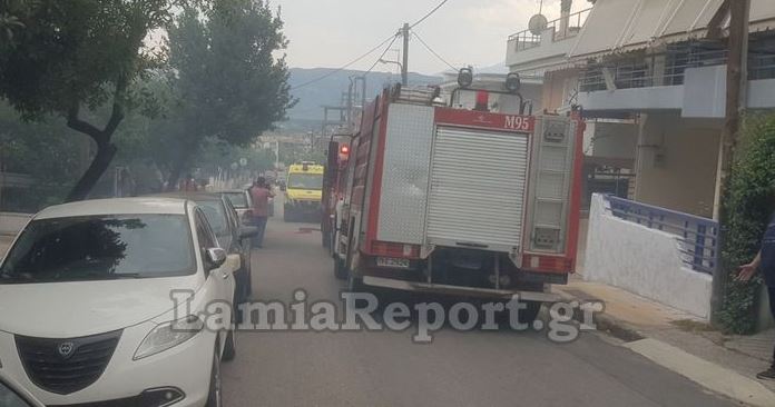 ΛΑΜΙΑ ΦΩΤΙΑ