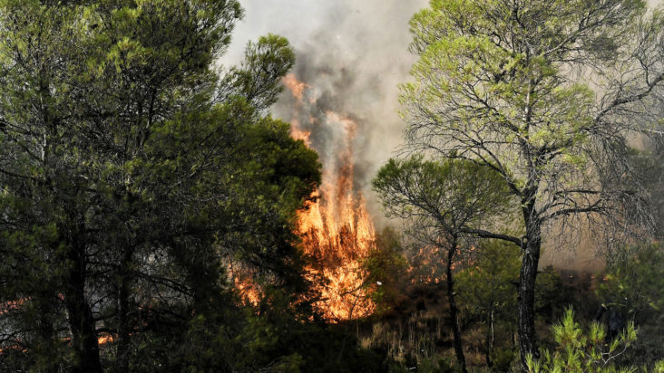 φωτιά αρχείο