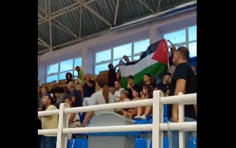 ΣΗΜΑΙΑ ΠΑΛΑΙΣΤΙΝΗ