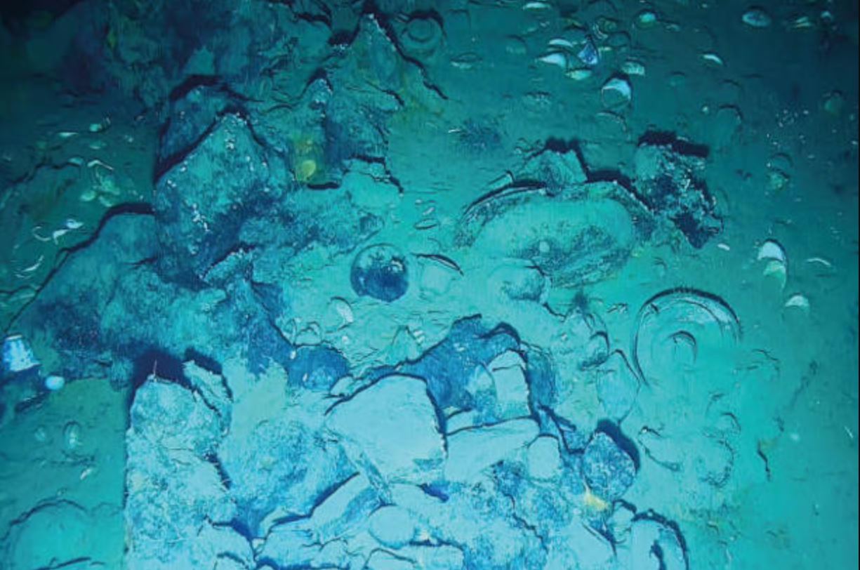 Η ακριβής εξερεύνηση του Σαν Χοσέ, έκανε δυνατό τον χαρακτηρισμό των συλλογών του και την ανακάλυψη νέων στοιχείων. Φωτογραφία: Υπουργείο Πολιτισμού της Κολομβίας