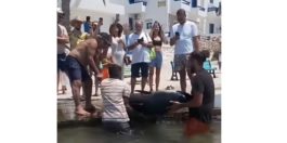 ΚΟΥΦΟΝΗΣΙΑ ΤΟΝΟΣ