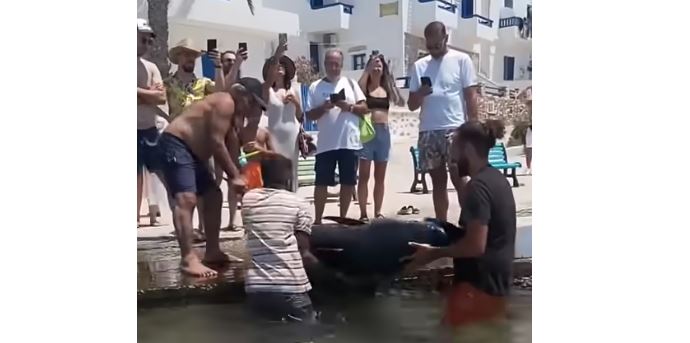 ΚΟΥΦΟΝΗΣΙΑ ΤΟΝΟΣ