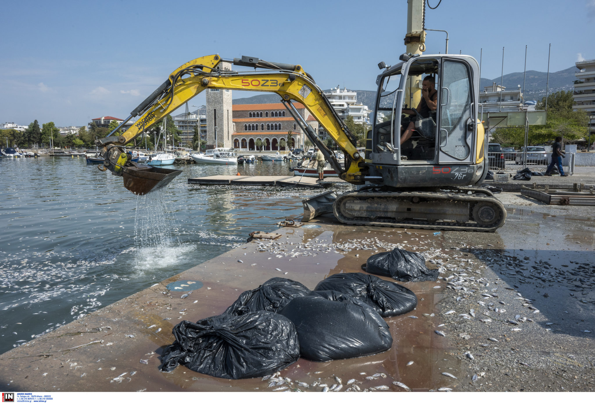 ΒΟΛΟΣ ΨΑΡΙΑ