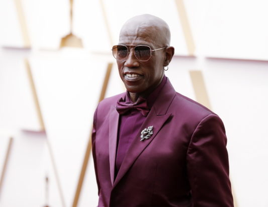 Γουέσλι Σνάιπς Wesley Snipes