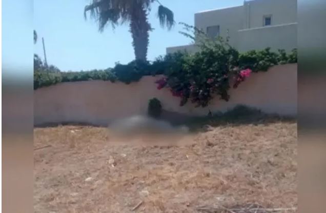 Κτηνωδία στην Σαντορίνη: Έδεσαν άλογο και το άφησαν να πεθάνει από τη δίψα