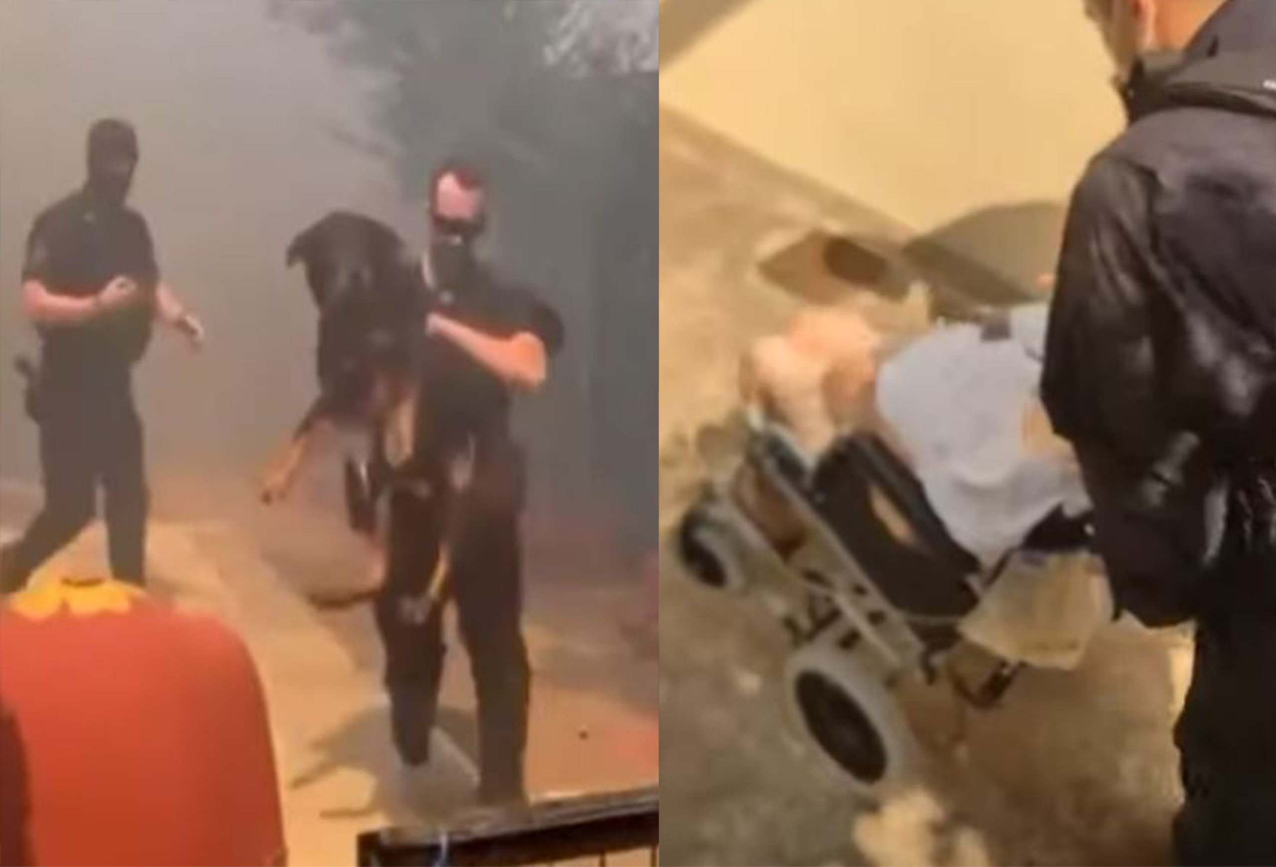 Πεντέλη: Αστυνομικοί πήραν στην αγκαλιά σκύλο και τον έβγαλαν από σπίτι που είχε πάρει φωτιά – Διέσωσαν γιαγιά σε αναπηρικό αμαξίδιο