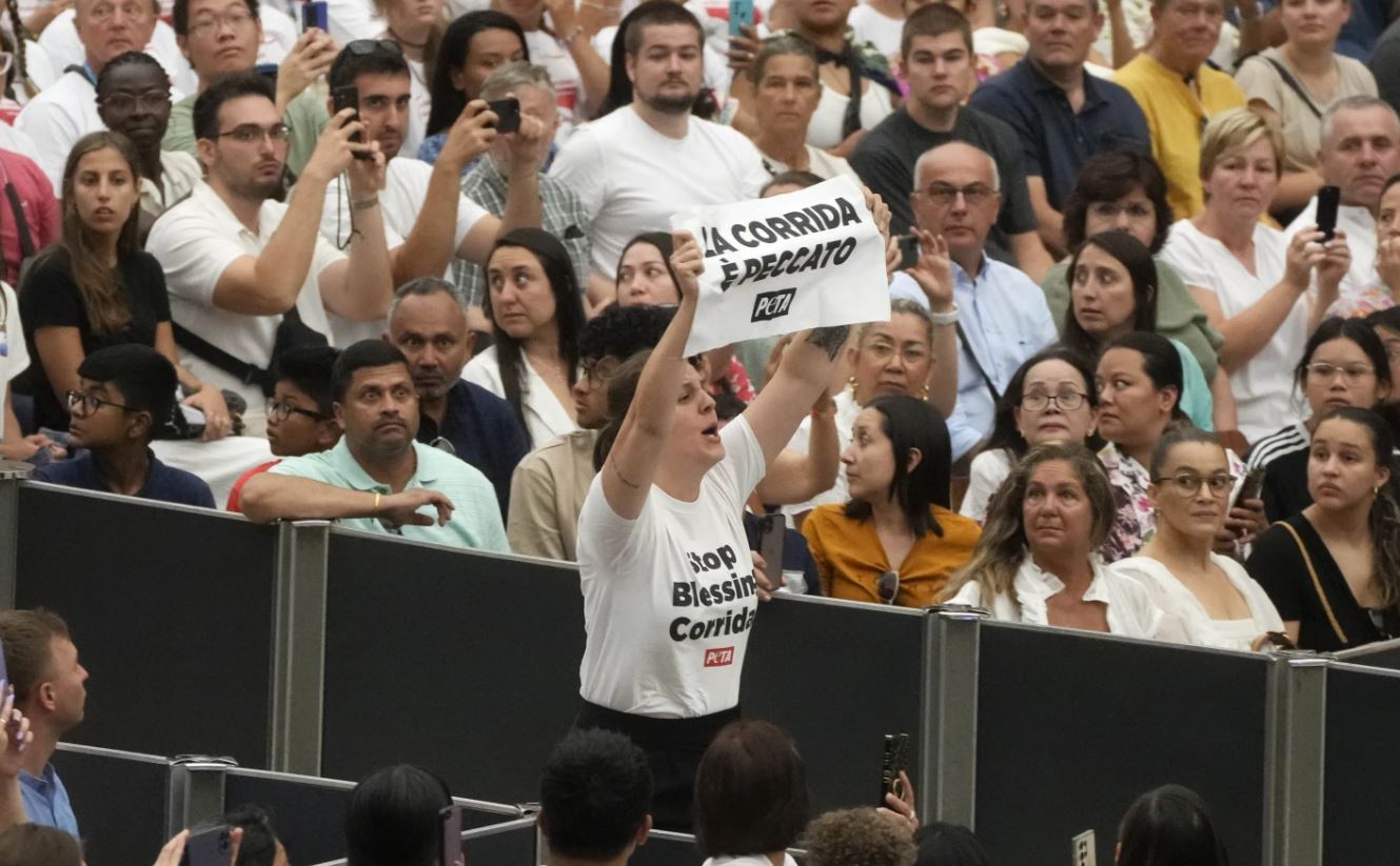 Βατικανό: Διαμαρτυρία κατά των ταυρομαχιών κατά την γενική ακρόαση του πάπα Φραγκίσκου – Βίντεο