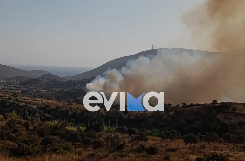Διπλό πύρινο μέτωπο στην Εύβοια: Ξέσπασε νέα φωτιά ανάμεσα στους Ζάρακες και στον Αλμυροπόταμο – Δείτε βίντεο