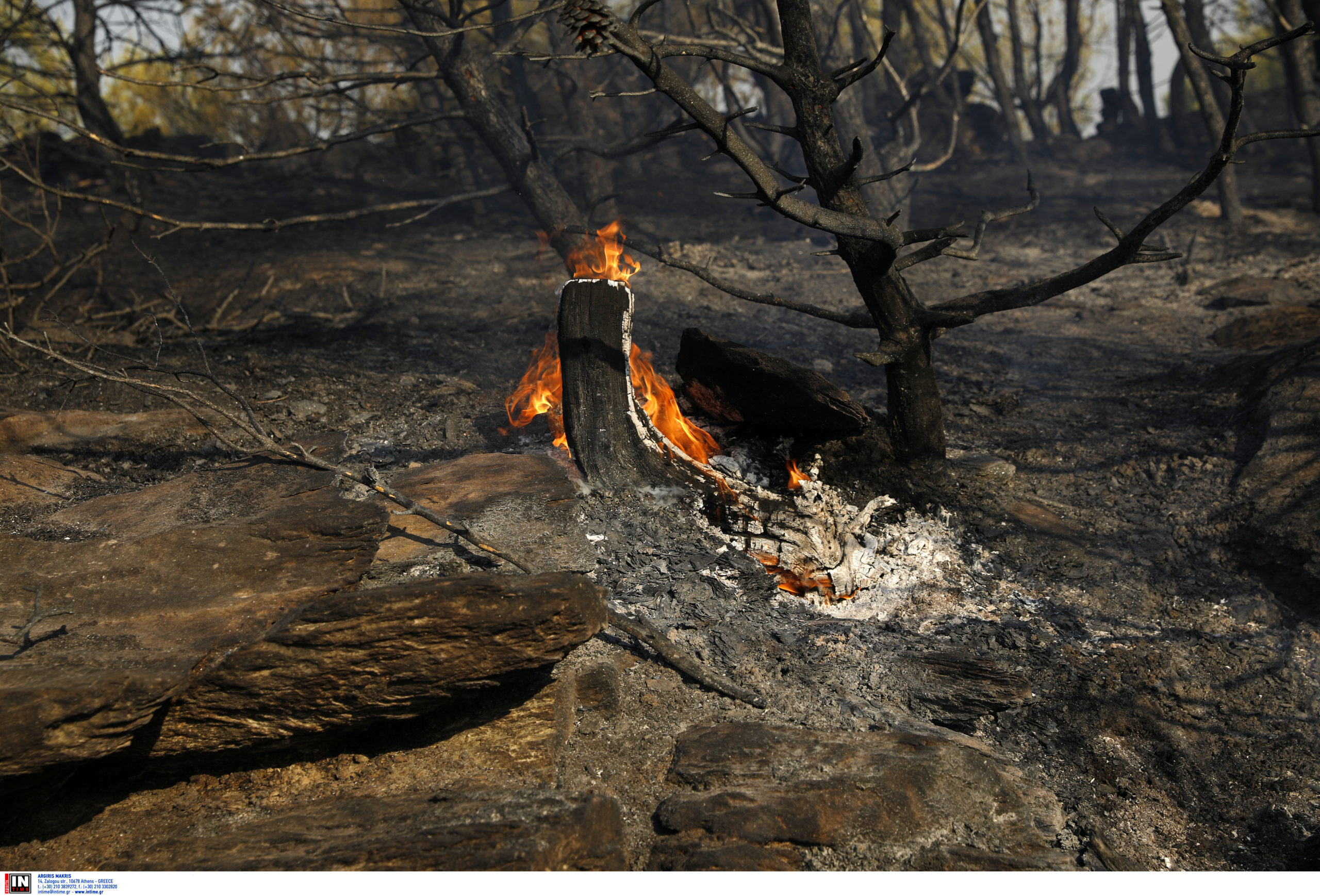 Φωτιά στη Βορειοανατολική Αττική: «Βρισκόμαστε σε κατάσταση εκτάκτου ανάγκης» λέει η δήμαρχος Διονύσου