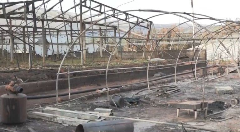 Φωτιά στην Αττική: Μεγάλες καταστροφές σε θερμοκήπια και οπωροκηπευτικά στον Μαραθώνα – ΒΙΝΤΕΟ