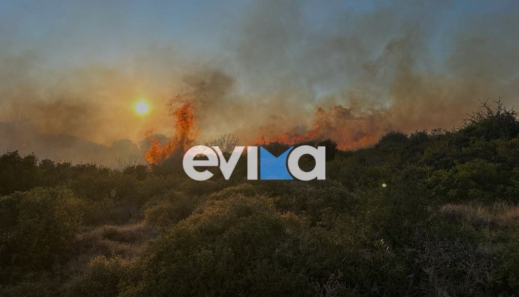 Εύβοια: Φωτιά σε δασική έκταση στο χωριό Τσακαίοι – Οι πρώτες εικόνες