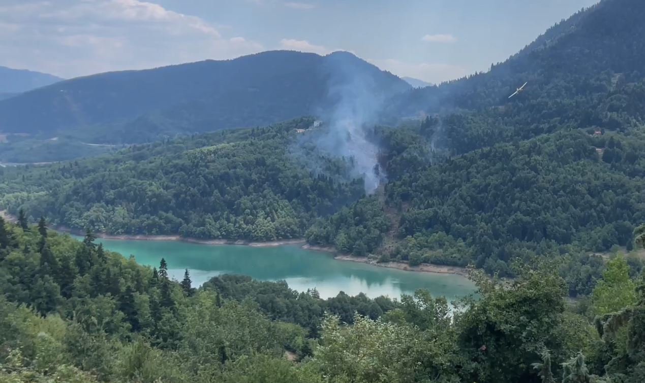 Καρδίτσα: Φωτιά σε δασική έκταση – Μεγάλη κινητοποίηση της πυροσβεστικής