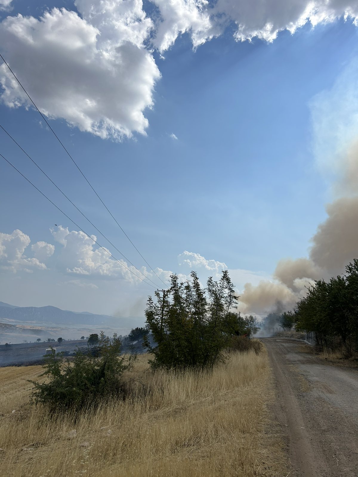 Φωτιά Κοζάνη 