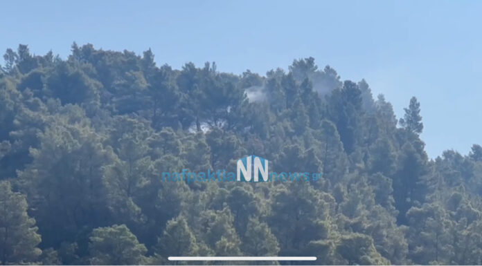Φωτιά σε δασική έκταση στη Ναυπακτία – Επιχειρούν και πέντε αεροσκάφη