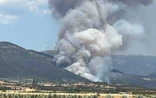 Μεγάλη φωτιά στη Ροδόπη: Καίει σε δύσβατη περιοχή – Ενισχύθηκαν οι πυροσβεστικές δυνάμεις – Δείτε φωτογραφίες