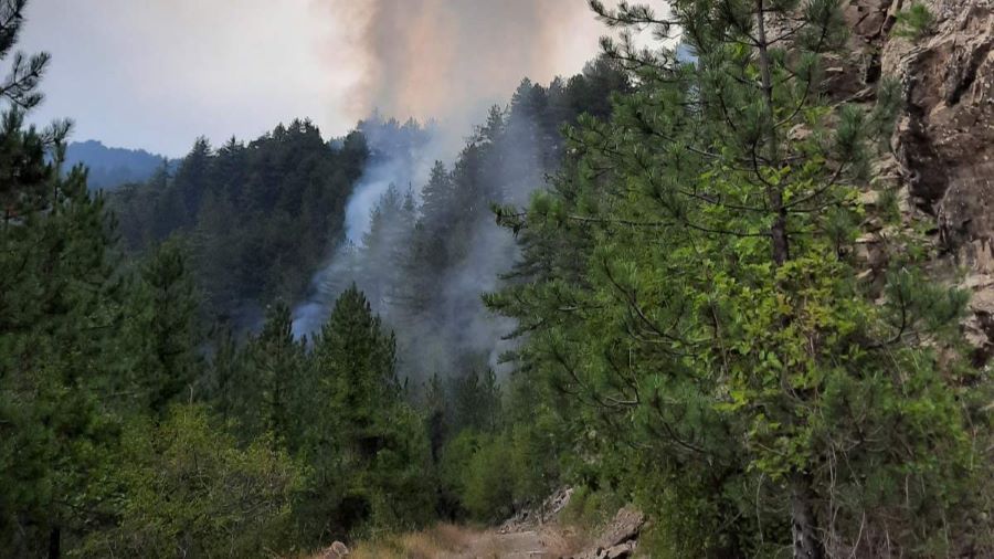 Συναγερμός στην Πυροσβεστική – Φωτιά στην περιοχή Βοβούσα Ζαγορίου – ΦΩΤΟ