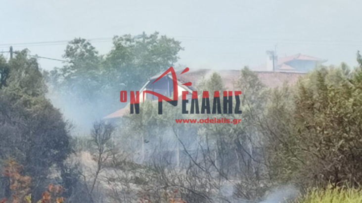 φωτιά- Λιτόχωρο