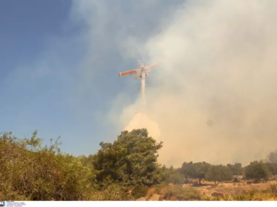 φωτιά αρχείο