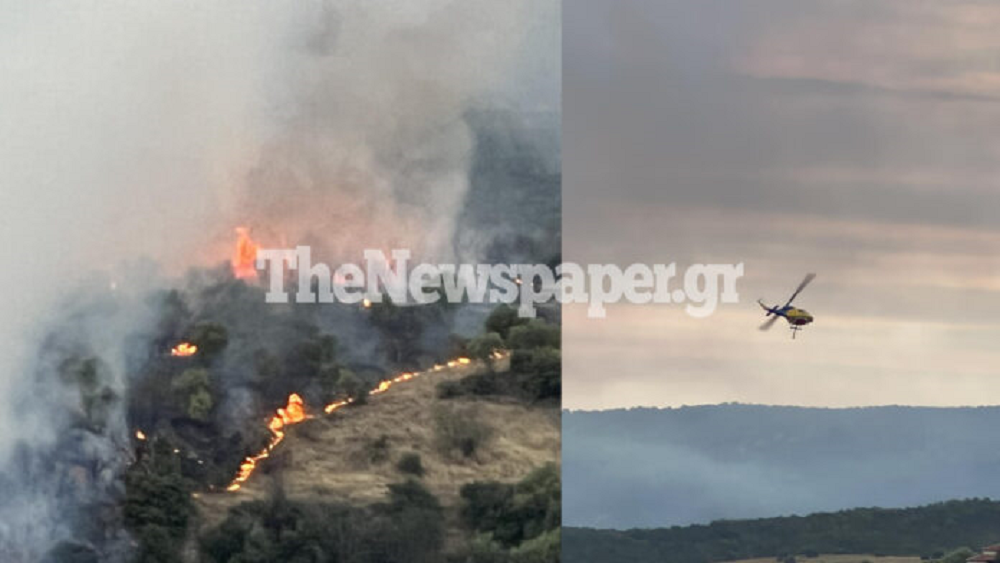 Βόλος: Φωτιά στο Φυτόκο – Οι πρώτες εικόνες