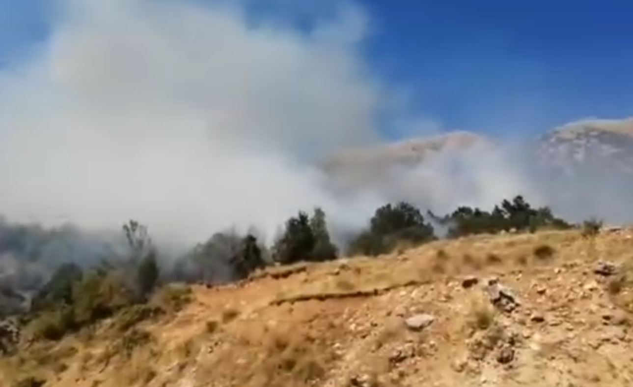 Ιωάννινα: Φωτιά στην περιοχή Δρυμάδες –  Μήνυμα του 112