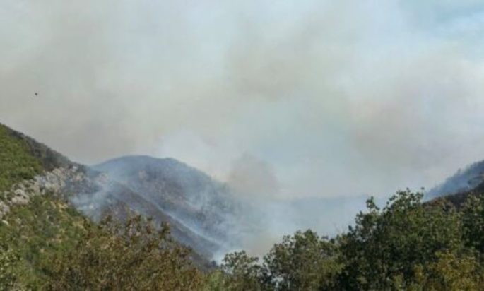 φωτιά Παλαμπάς