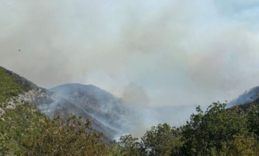 φωτιά Παλαμπάς