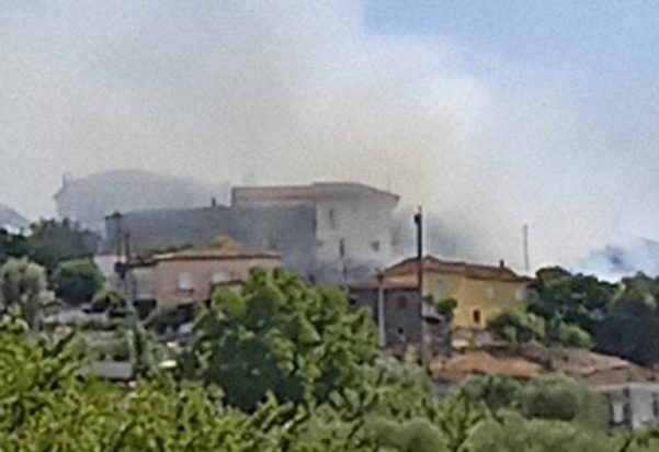 φωτιά Πρόδρομος