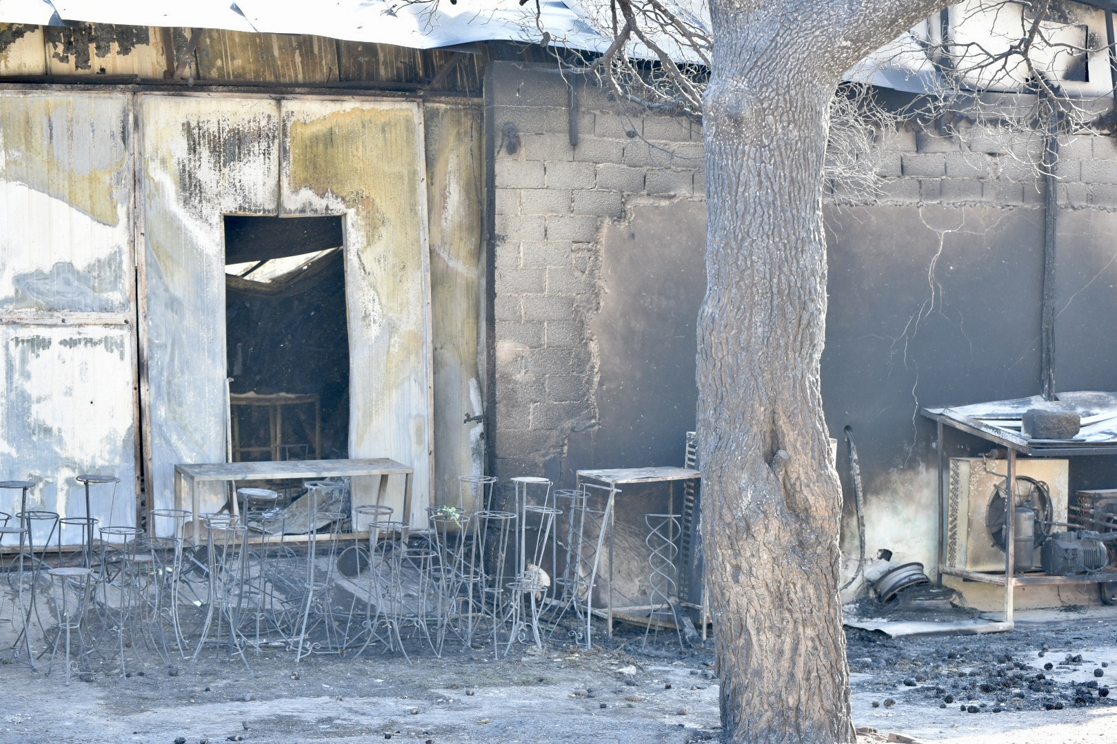 Φωτιά στην Αττική: 36 προσαγωγές και 6 συλλήψεις για πλιάτσικο στις καμένες περιοχές