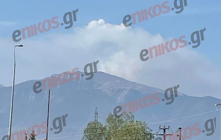 Καβάλα: Σε εξέλιξη η φωτιά στην κορυφή του Παγγαίου – Ενισχύθηκαν οι δυνάμεις – ΦΩΤΟ αναγνώστη
