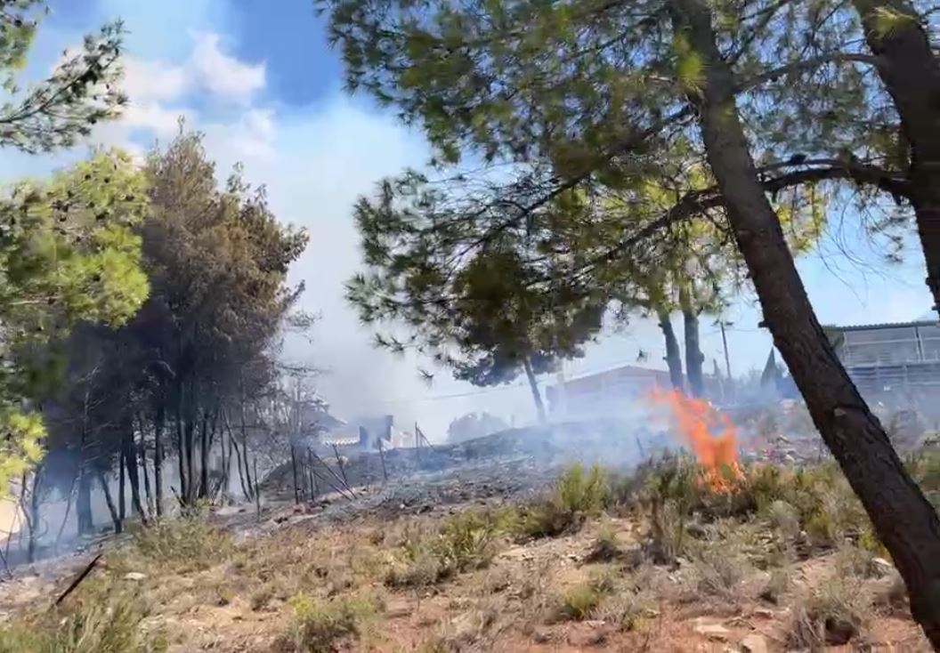 Φωτιά στα Μέγαρα: «Υπό μερικό έλεγχο, υπάρχουν ζημιές σε σπίτια» λέει στο enikos.gr ο δήμαρχος Μεγάρων – Βίντεο αναγνώστη