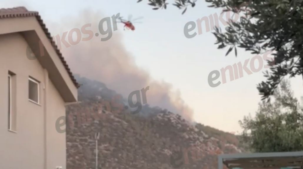 Φωτιά στην Αττική: «Μάχη» με τις αναζωπυρώσεις σε Μαραθώνα και Νέα Μάκρη – ΒΙΝΤΕΟ αναγνωστών